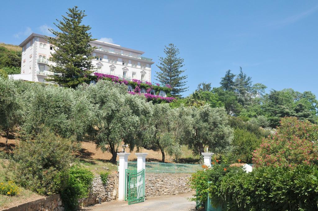 Grand Hotel San Michele Cetraro Zewnętrze zdjęcie